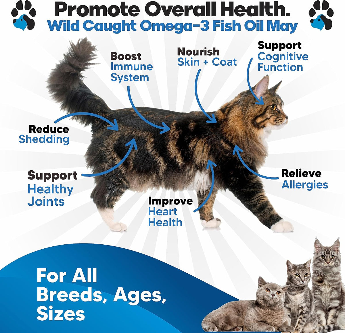 Omega 3 Fish Oil for Cats - Wild Caught, Skin and Coat, 16 fl oz Liquid