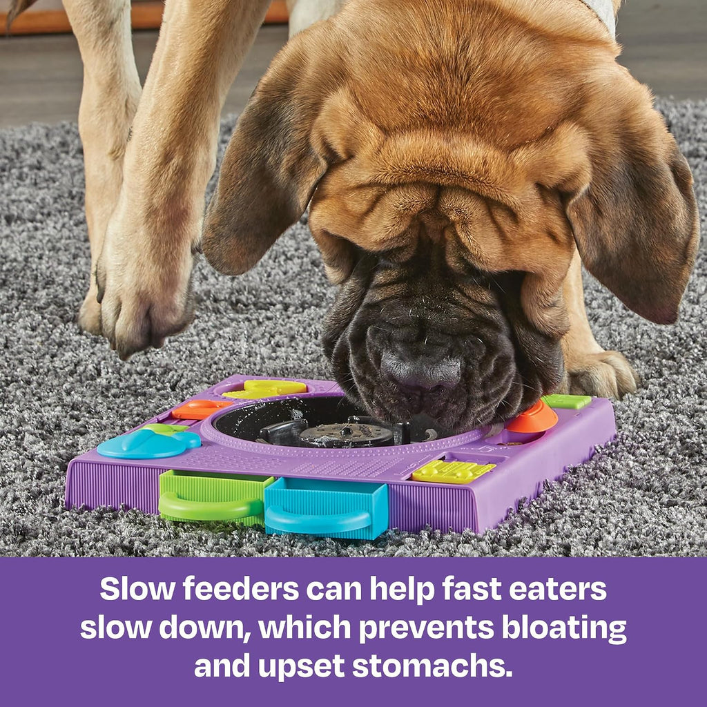 Learning Resources Brightkins DJ Doggo Puzzle Feeder