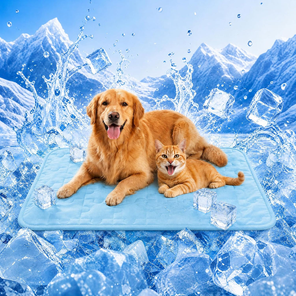 Cooling Dog Mat Large, Breathable 3D Mesh No-Gel Pad, Blue