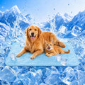Cooling Dog Mat Large, Breathable 3D Mesh No-Gel Pad, Blue