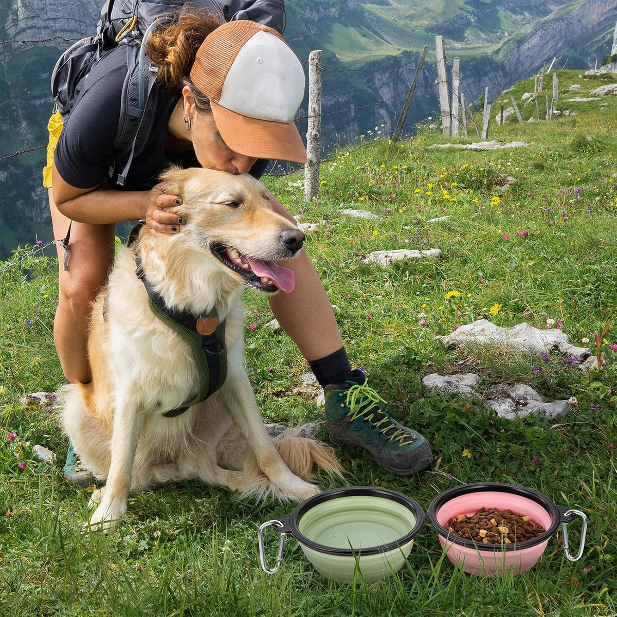Large Dog Bowl Pet Collapsible Bowls, 2 Pack Collapsible Dog Water Bowls for Cat Dogs Portable Pet Feeding Water Dish for Walking Parking Traveling with 2 Carabiners (Large, Fairy pink & Sprout Green)