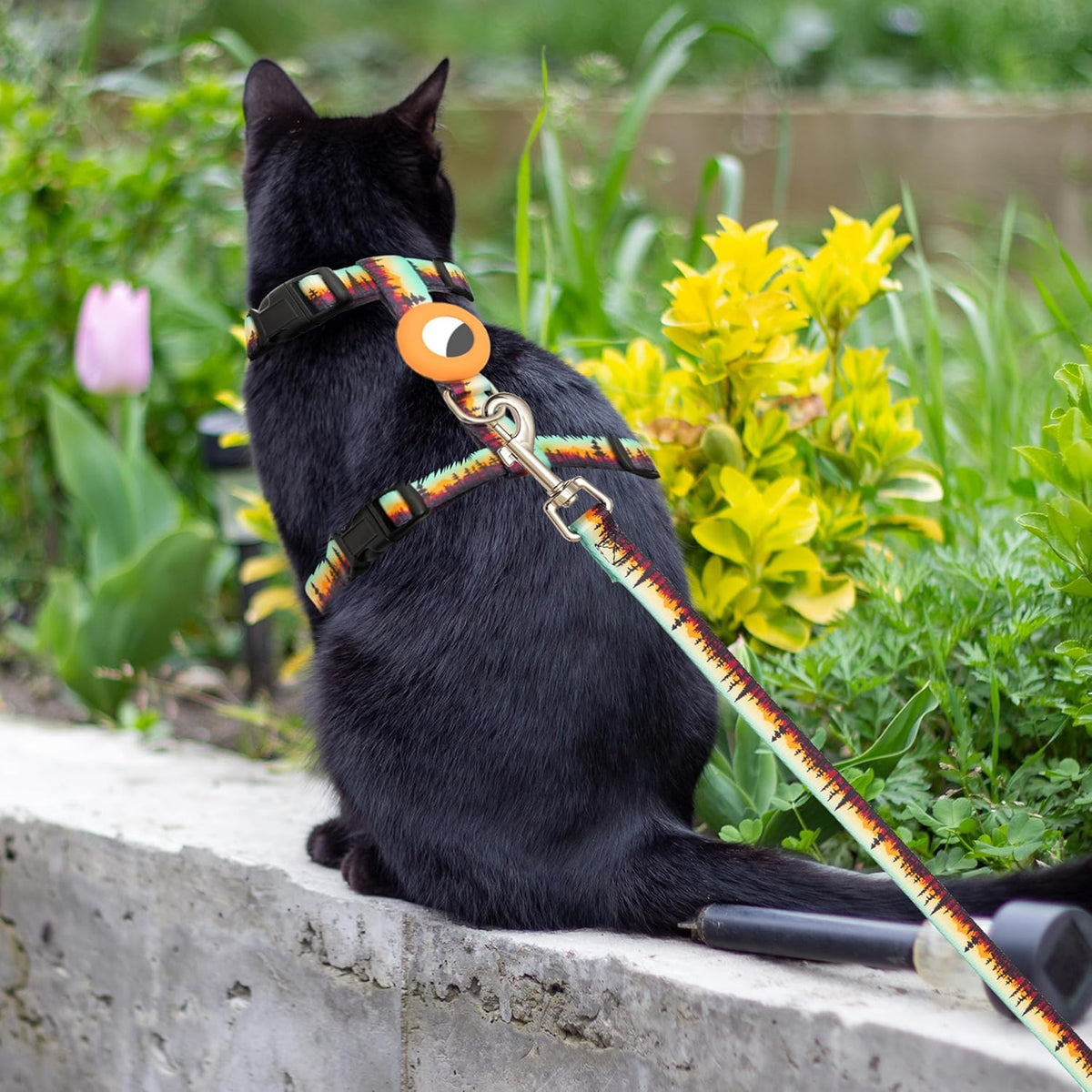 Escape Proof Cat Harness with Airtag Holder and Leash Set Outfits