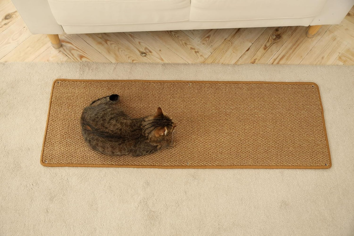 Cat Wall Climbing Carpet - Cat Wall Scratcher 50" x 17" with Fixed Nails