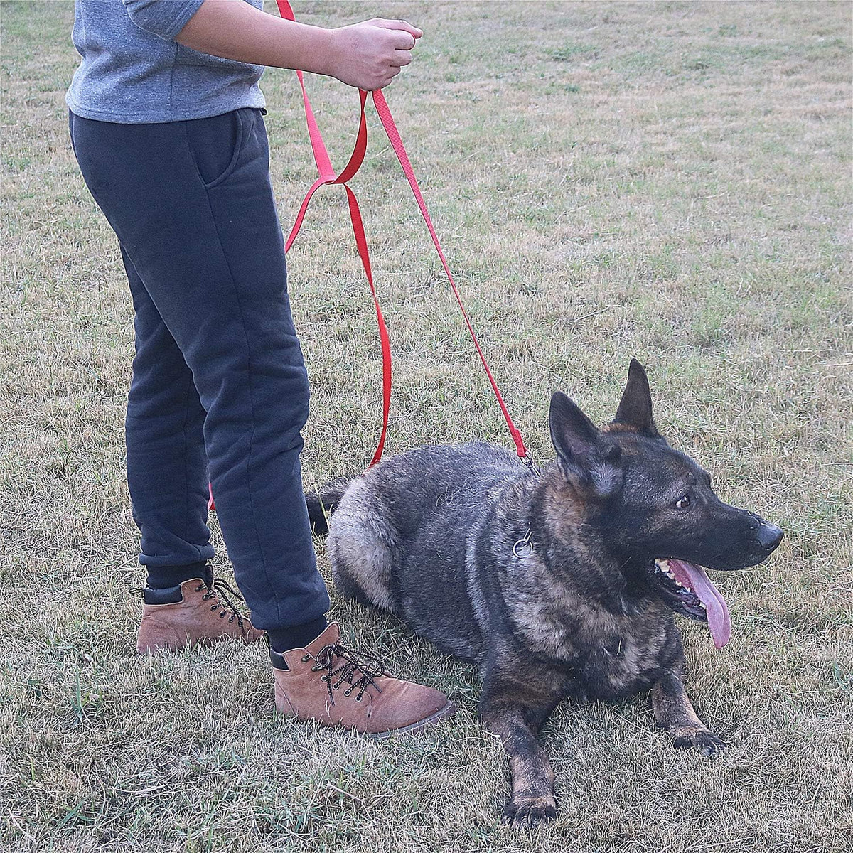 Dog/Puppy Obedience Recall Training Agility Lead - 15ft 20ft 30ft 50ft Training Leash - Great for Play, Camping, or Backyard (Military Green, 30 feet)