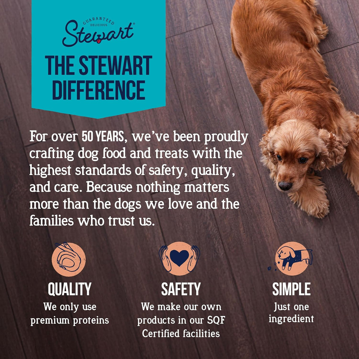 Stewart Freeze Dried Dog Treats, 100% Wild Salmon, 9.5 oz Tub