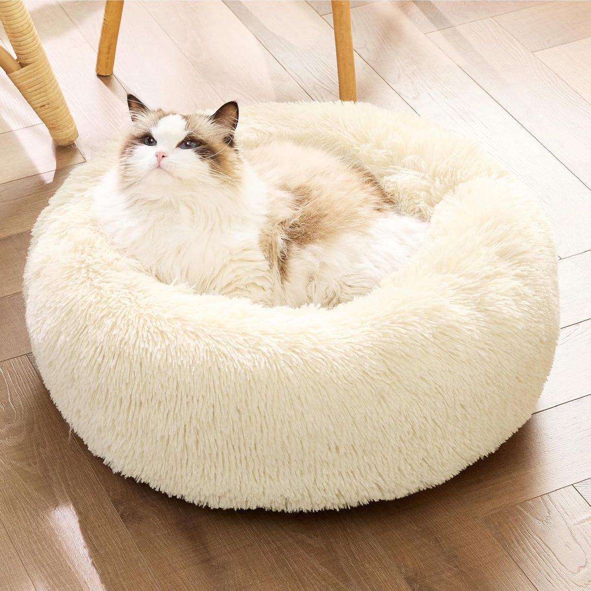 Bedsure Calming Cat Beds Donut Round Washable Kitten Bed,20 inches Cream
