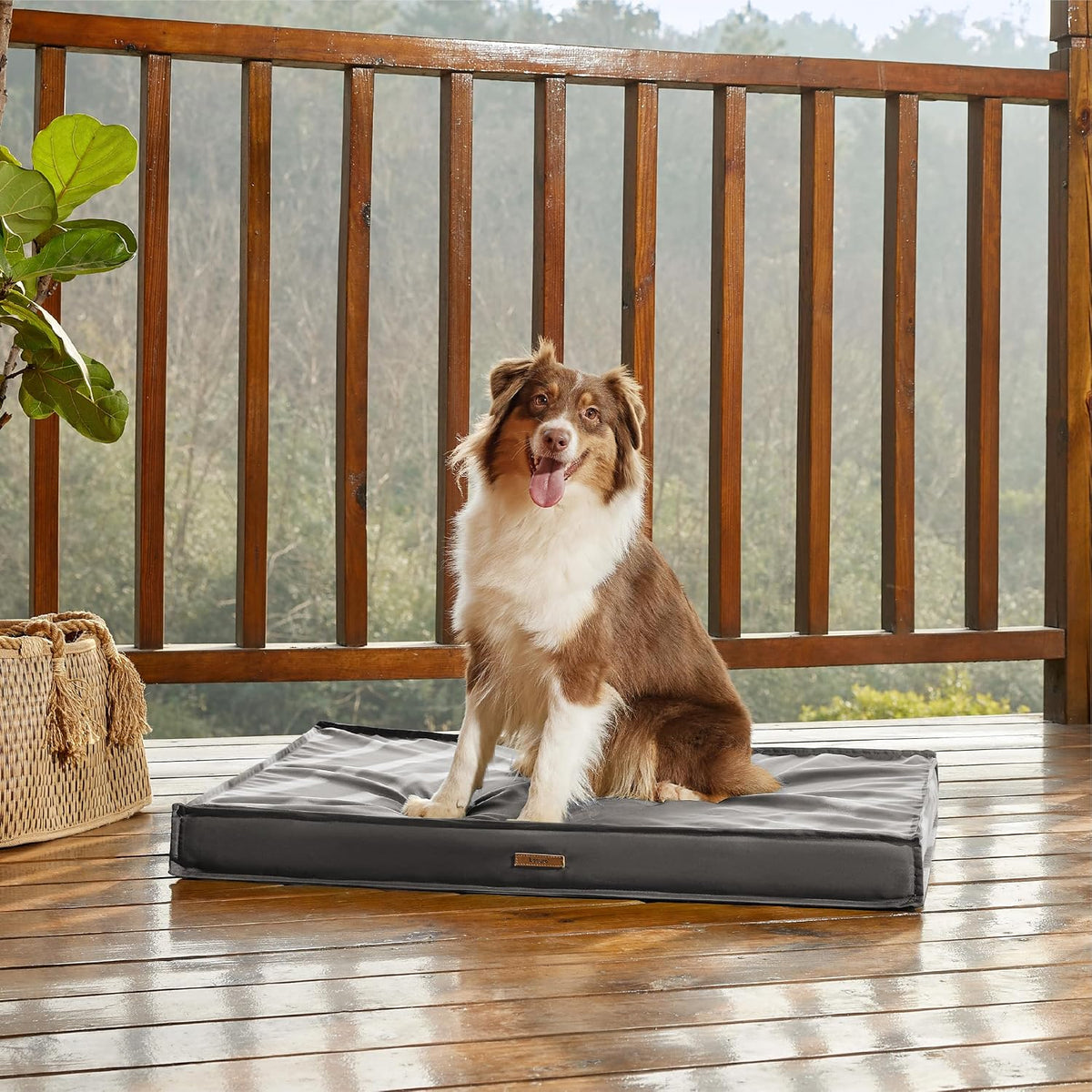 LE SURE Outdoor Waterproof Dog Beds Medium Size,Orthopedic Pet Mat,30x20In