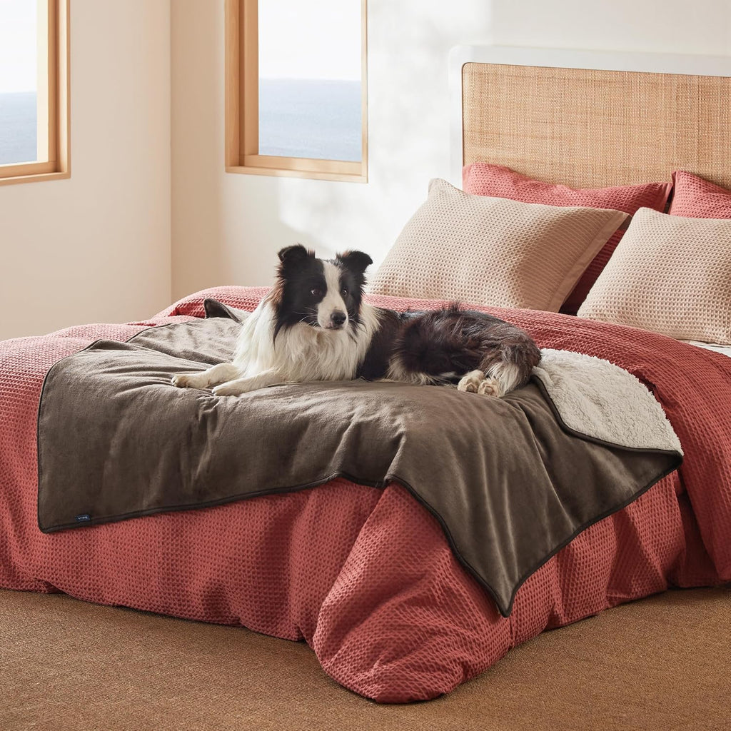 Bedsure Waterproof Dog Blankets for Large Dogs Sherpa Fleece Throw, 50X60