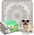 FXW Washable Pee Pads for Dogs, Super Absorbent, 35" Square, 2 Packs | Machine washable, Non-slip backing