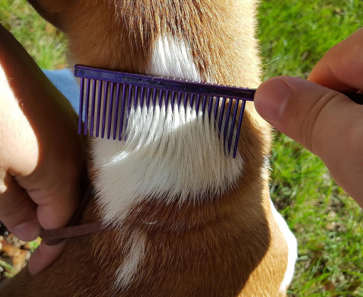 Resco Professional Anti-Static Dog, Cat, Pet Comb for Grooming, Steel Pins, Fine Tooth Spacing, Candy Blue