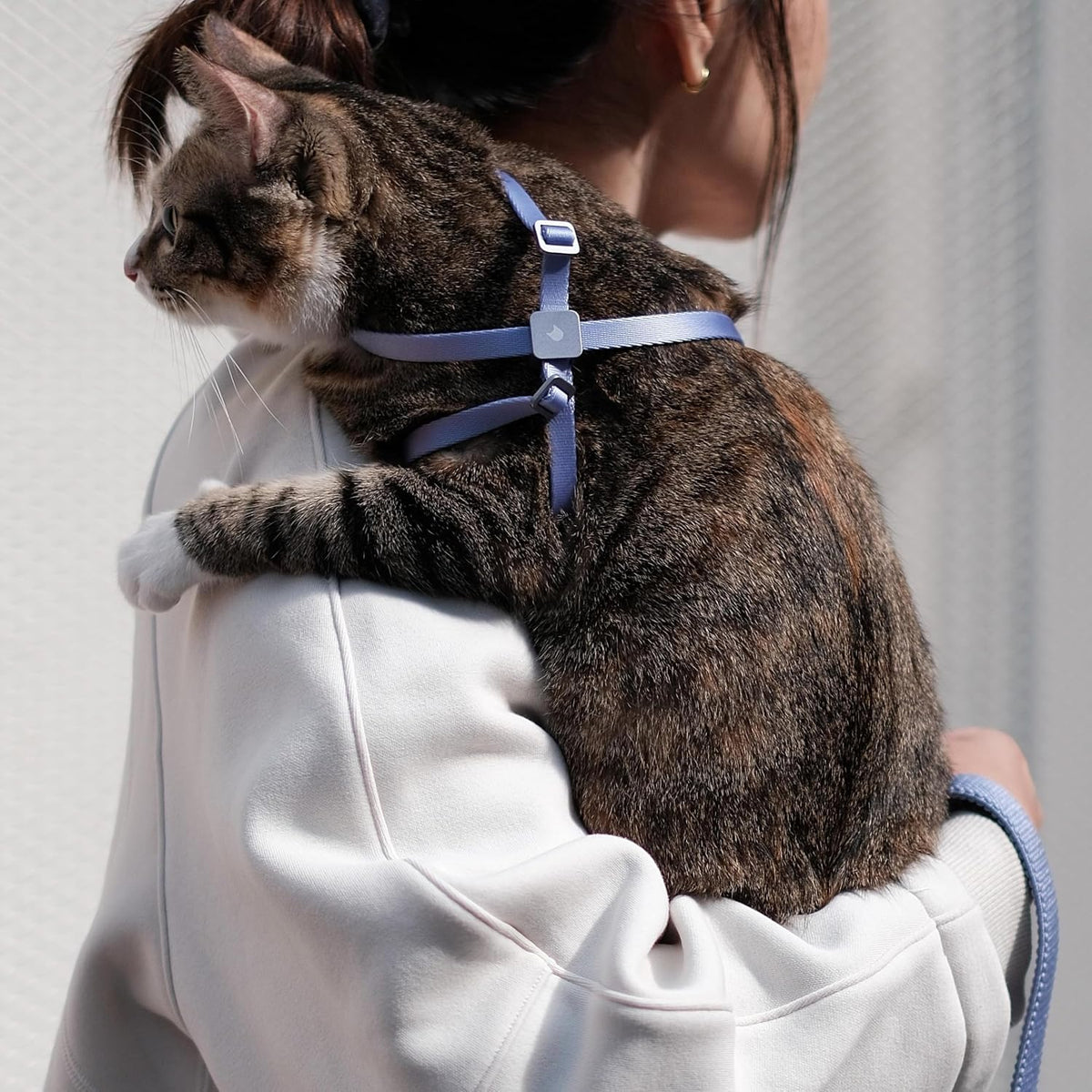 Cat Harness and Leash 2-in-1, Escape Proof Anti-Choking Harness Adjustable Lightweight Leash One-Piece Non-Detachable for Kitten Cats Outoor Walking Training, US IDA Bronze Award (Gray)