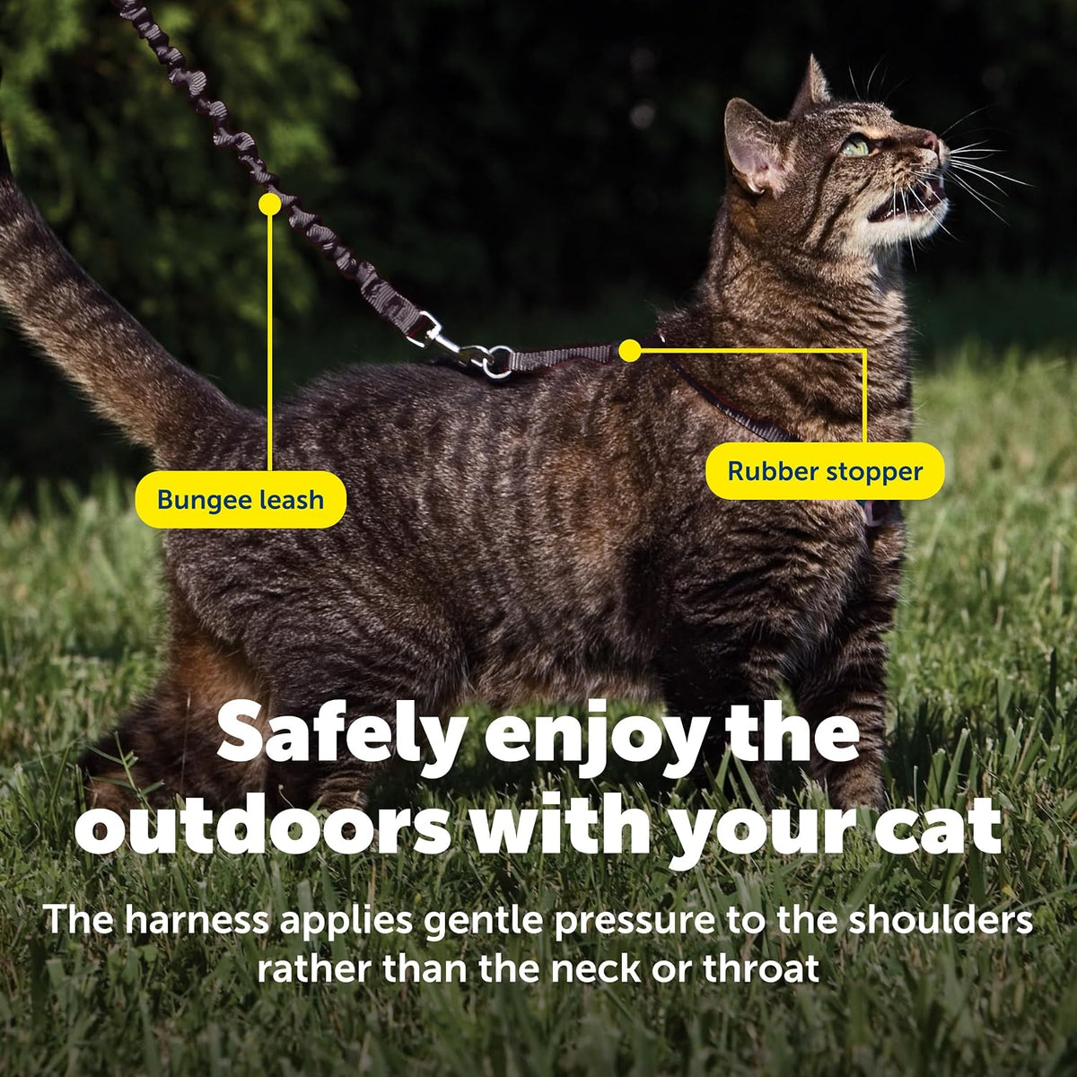 PetSafe Come With Me Kitty Harness and Bungee Leash, Harness for Cats, Large, Black/Silver, CWMK-L-BLK