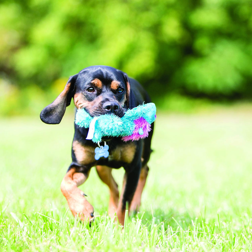 KONG Cozie Ali Alligator Plush Dog Toy, for Small Dogs