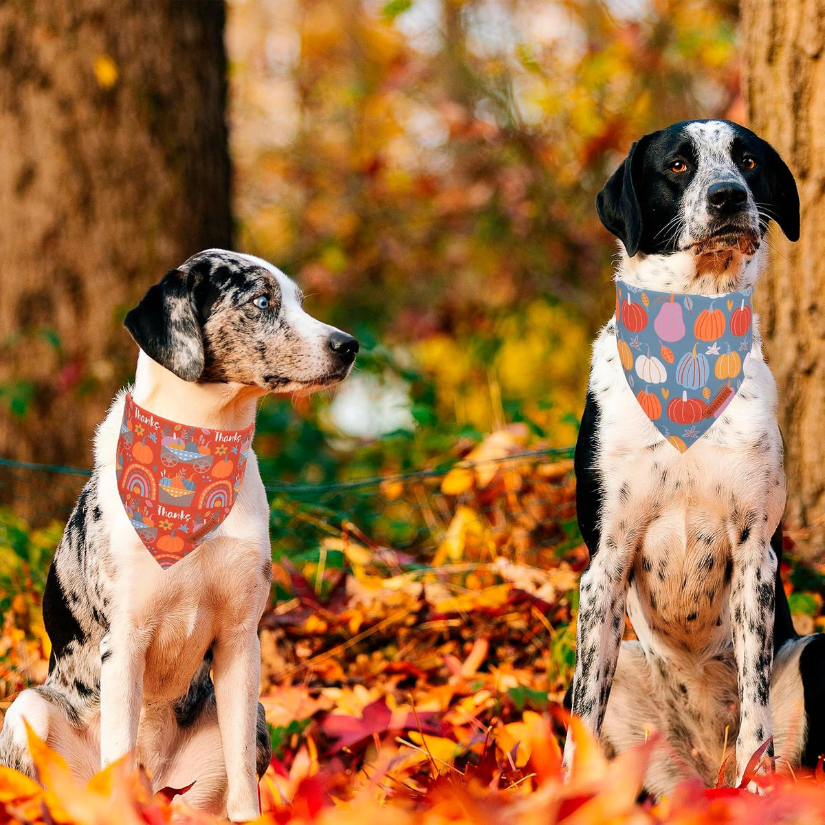 ADOGGYGO Thanksgiving Dog Bandana, Fall Harvest Pumpkin Dog Scarf, X-Large