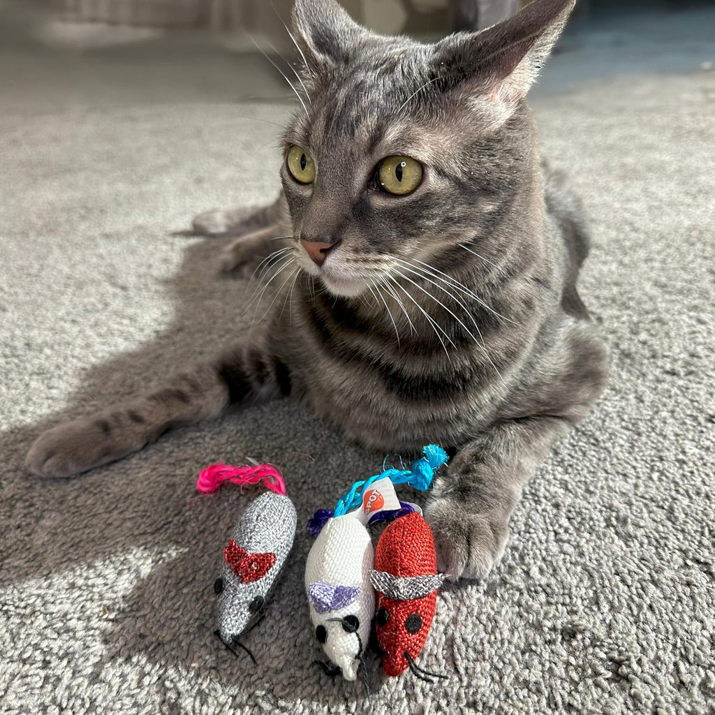 SPOT Burlap Mice Cat Toys, Interactive & Durable Catnip Toys for Indoor Cats & Kittens, Perfect for Hunting & Play, 3-Inch, Assorted Colors, 3 Pieces