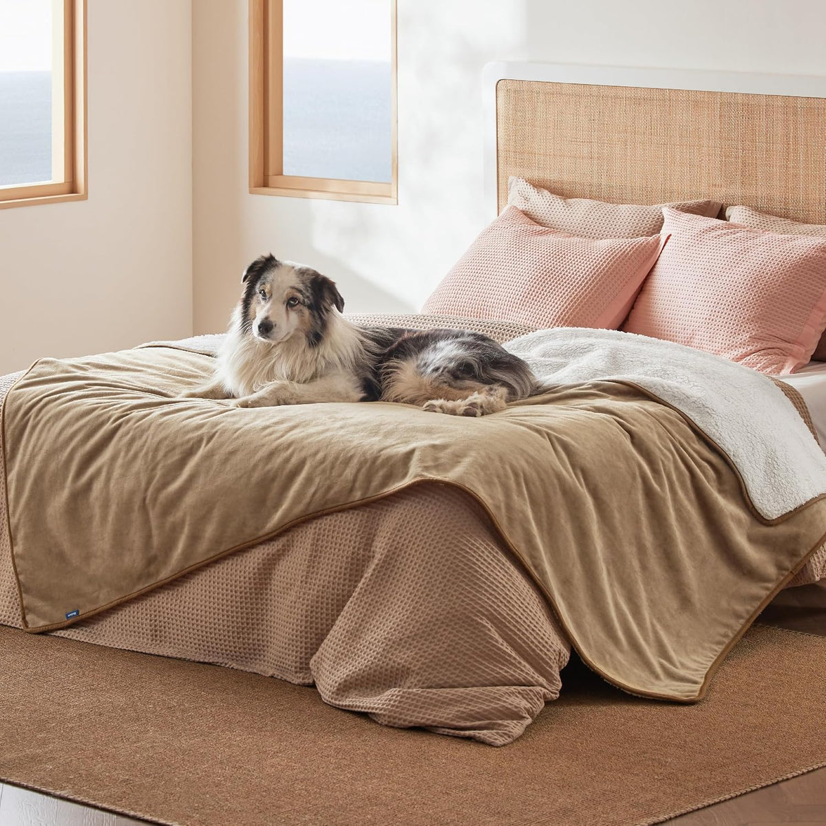 Bedsure Waterproof Blanket for Bed Soft Sherpa Fleece Throw,Twin 80"x60"