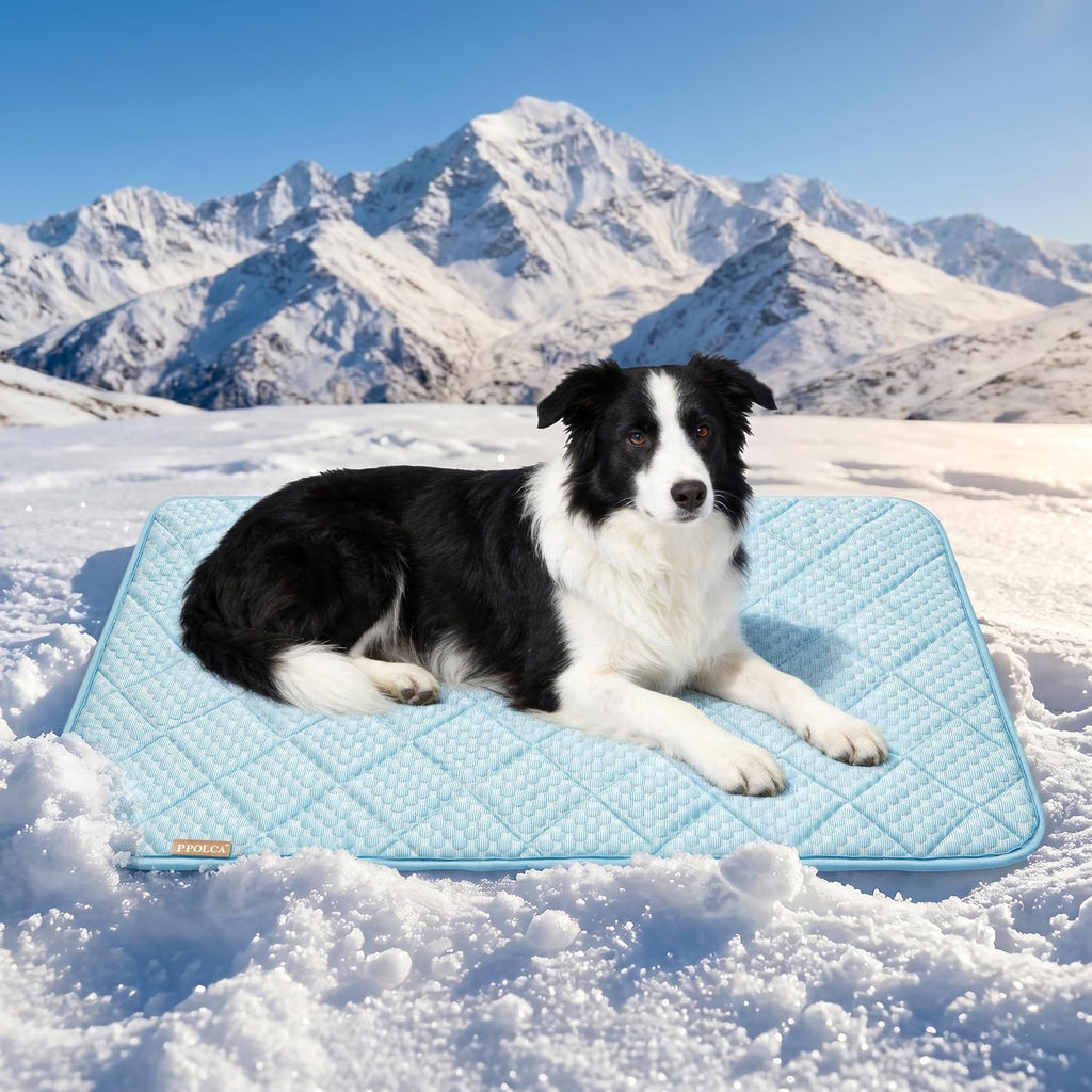 PPOLCA Waterproof Cooling Mat for XL Dogs 30x48, Light Blue