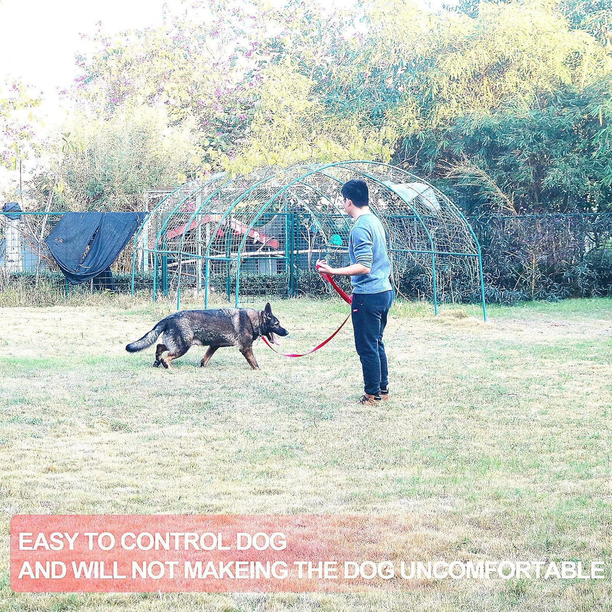 Dog/Puppy Obedience Recall Training Agility Lead - 15ft 20ft 30ft 40ft 50ft Training Leash - Great for Play, Camping, or Backyard (Military Green, 20 Feet)