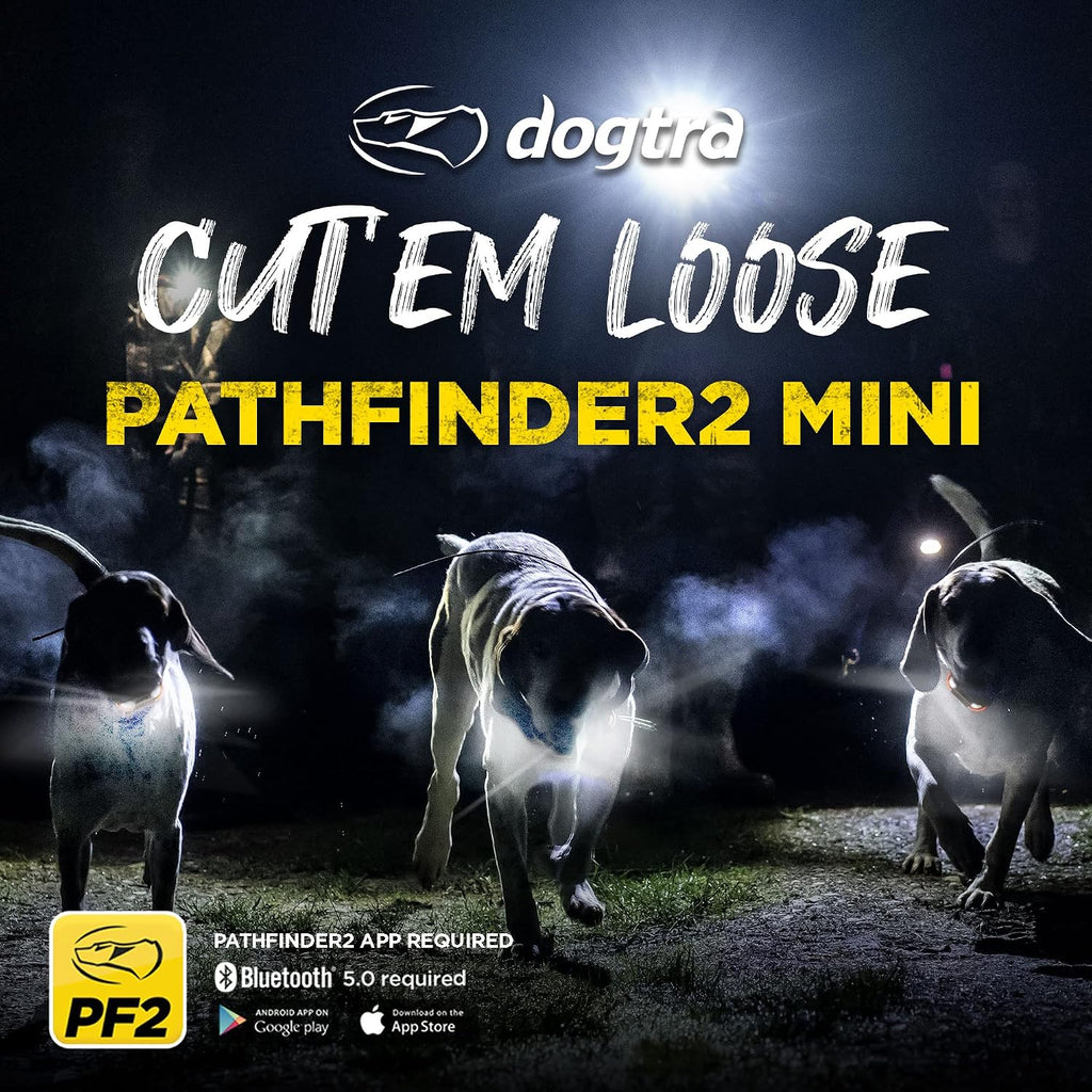 Dogtra Pathfinder 2 Mini GPS Dog Tracker e Collar 4 Mile Long Range LED Light No Monthly Fees Free App Waterproof Smartwatch Control Based Real Time Tracking Multiple Dogs Smartphone Required