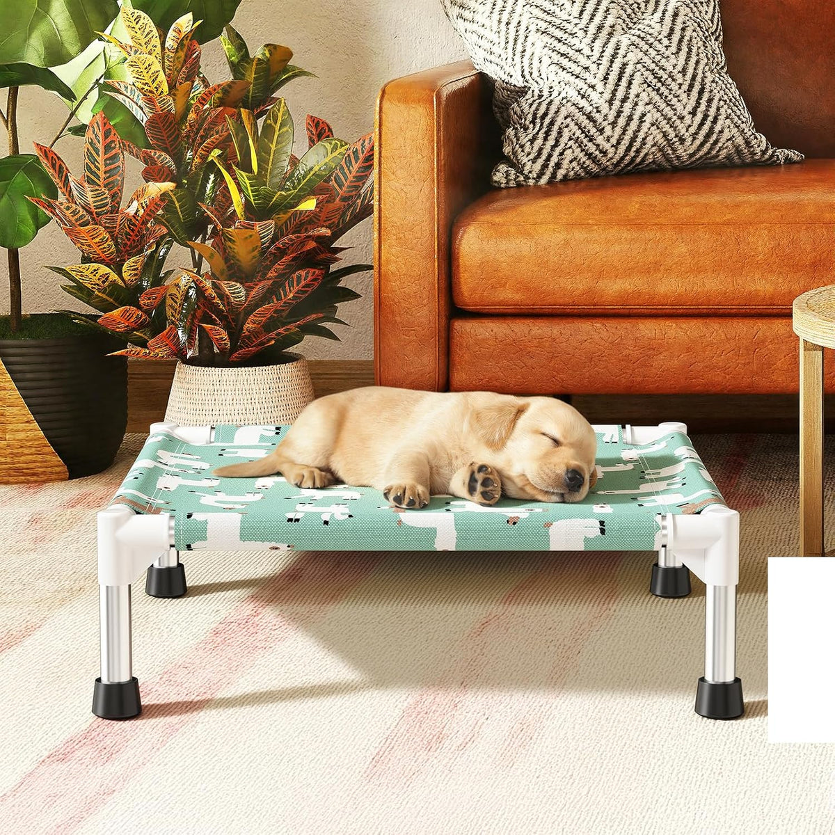 Cute Alpaca Print Elevated Dog Bed - Portable Cooling Pet Cot for Small Dog