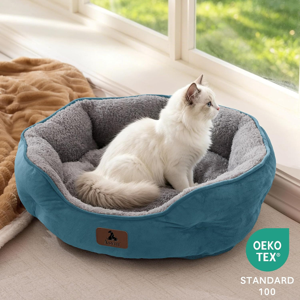 Asvin Small Dog Bed for Small Dogs, Cat Beds for Indoor Cats, Pet Bed for Puppy and Kitty, Extra Soft & Machine Washable with Anti-Slip & Water-Resistant Oxford Bottom, Teal, 20 inches