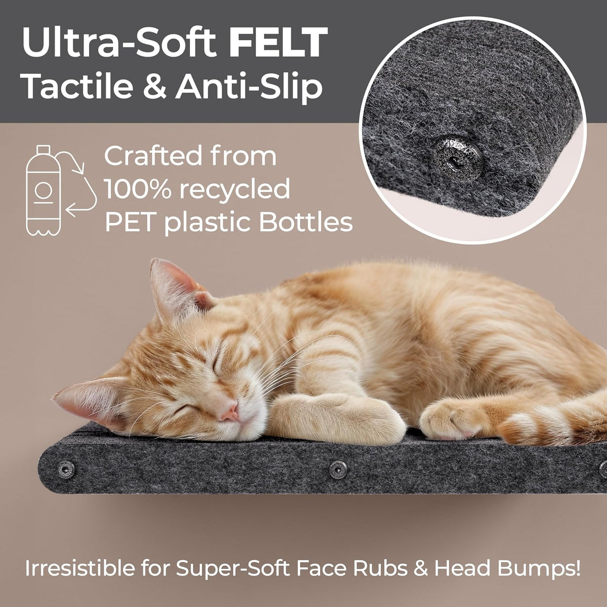 Cat Wall Shelf (Long) - Indoor & Outdoor by Pryde Pets