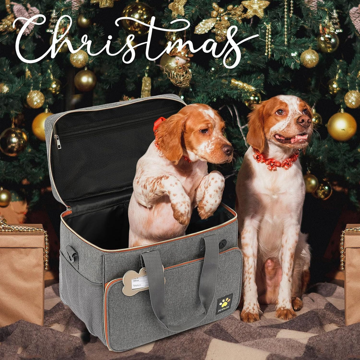 Dog Travel Bag, Grey