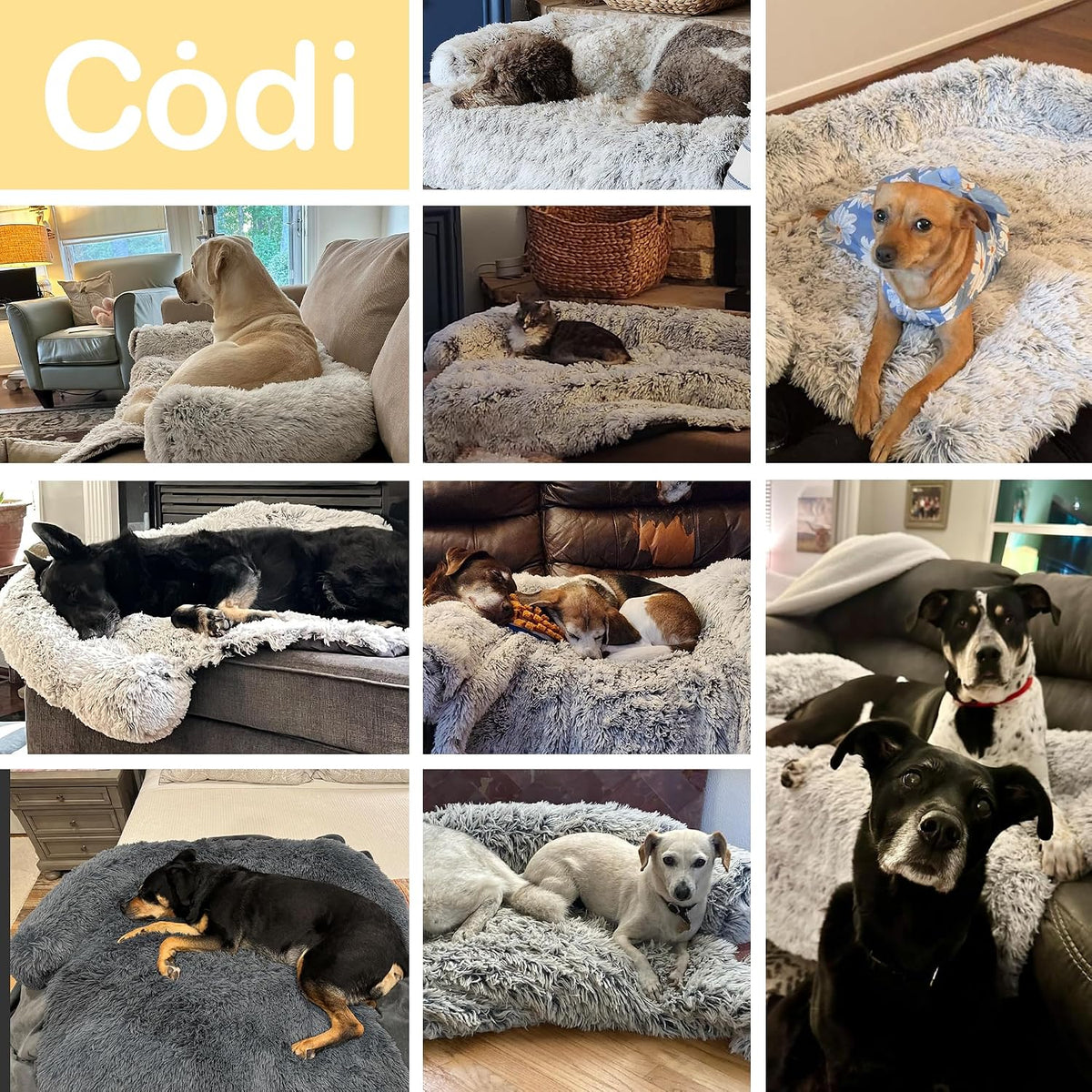 Codi Dog Couch Bed, Sofa Cover Mat, Dark Grey, 45 x 37 x 6 Inch