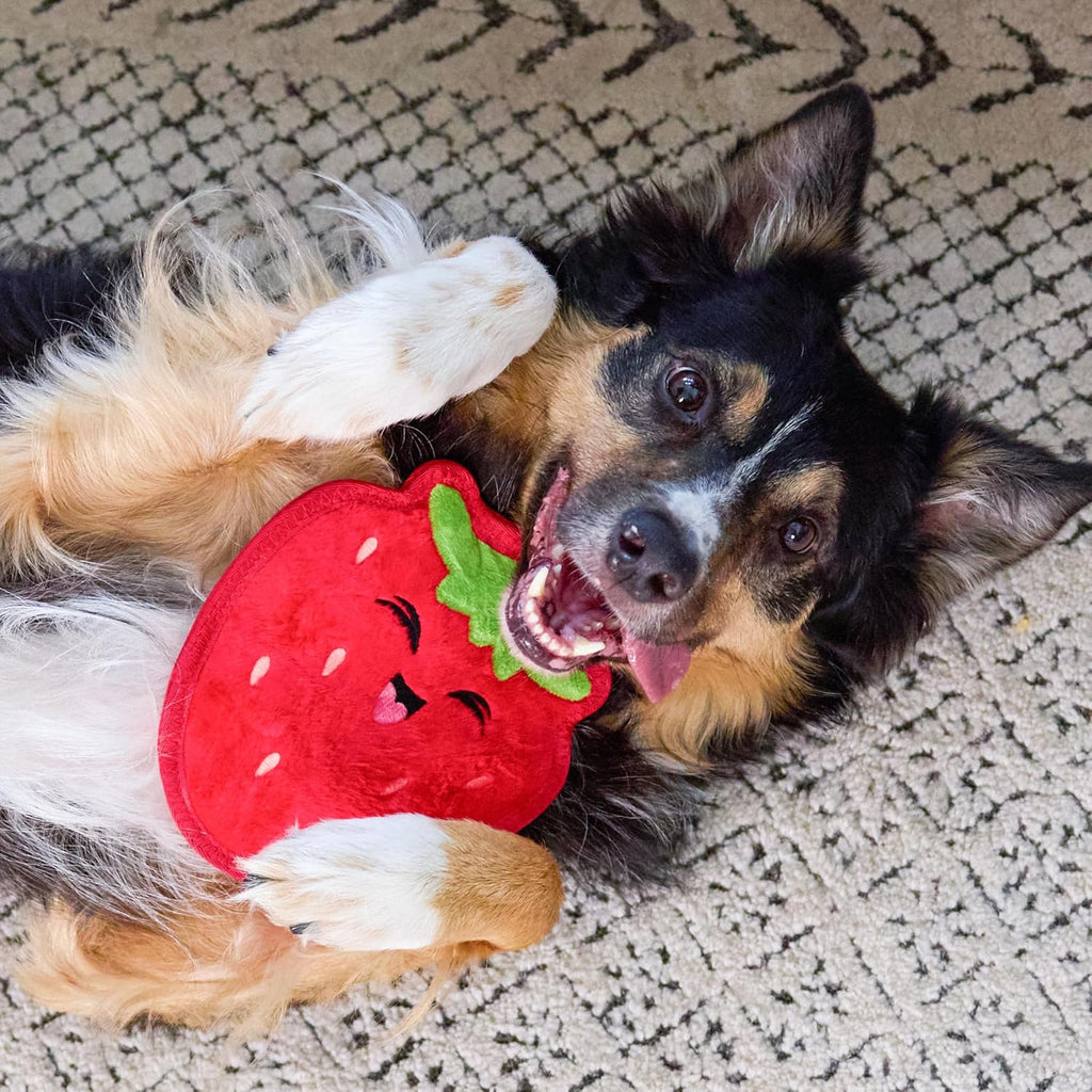 Outward Hound Tough Skinz Durable Chew Squeaky Dog Toy, Strawberry, 7.9" | 4 Tough Layers, Triple Stitched Seams, No Stuffing, Less Mess, Jumbo Squeaker, Fetch & Toss, Tough Chewers, Dogs & Puppies