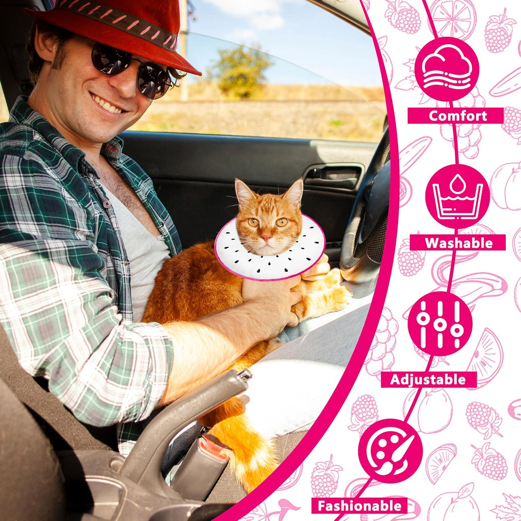 Cat Cone Collar Soft, Cat Recovery Cone (Dragonfruit, L)