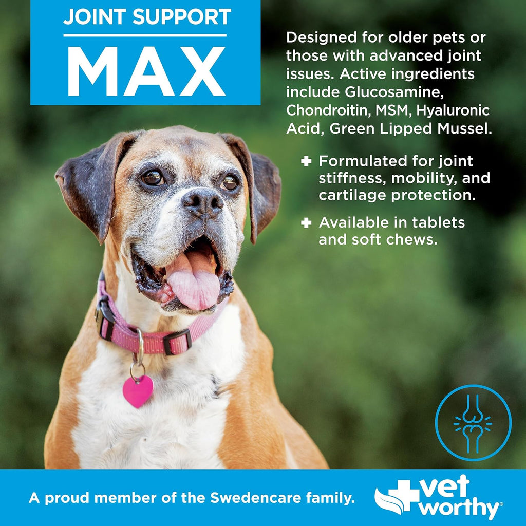 Vet Worthy Joint Support Max Soft Chews - Bone & Joint Supplement - 60ct