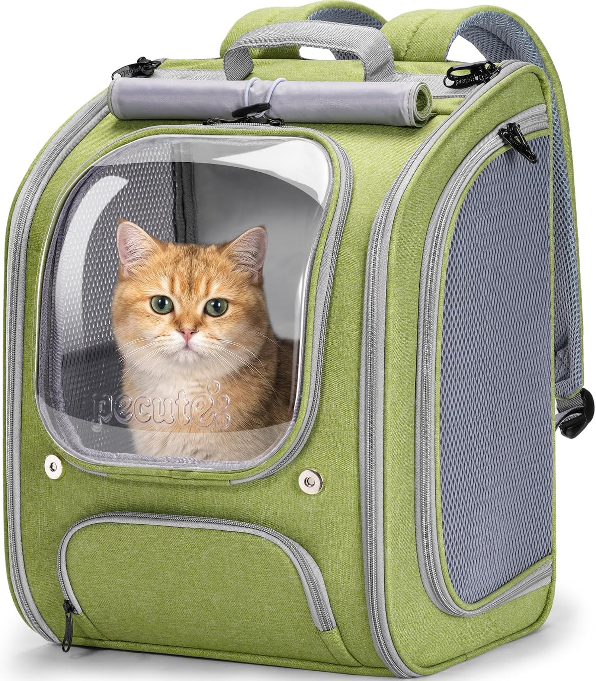 Pecute Cat Backpack Carrier,Large Space Cat Bubble Backpack,Light Green