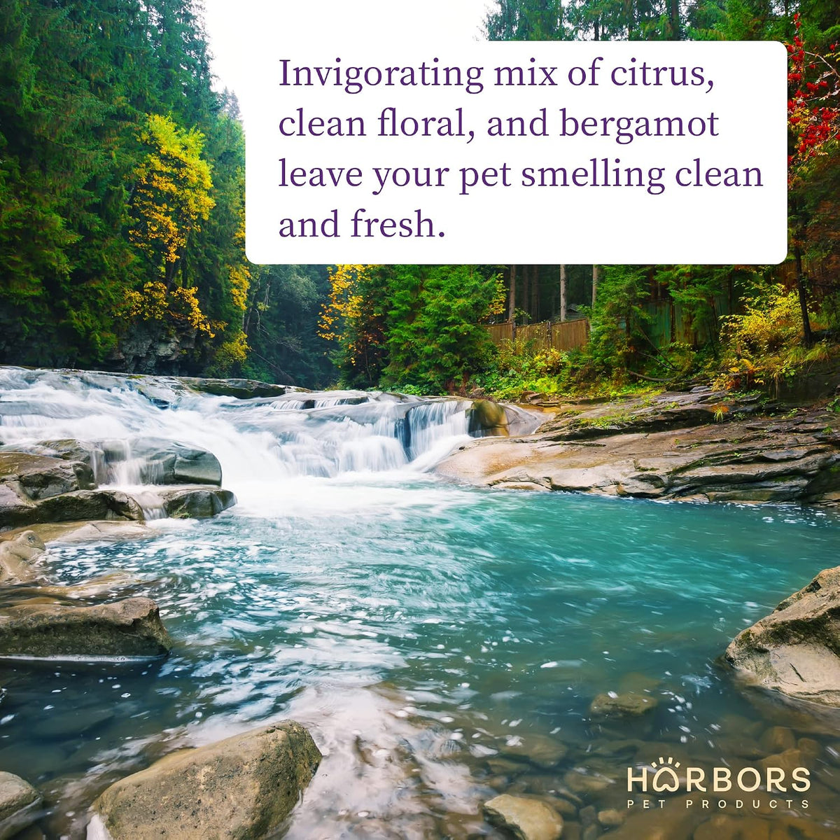Harbor's Pet Cologne (Clean Cool Water 32oz)