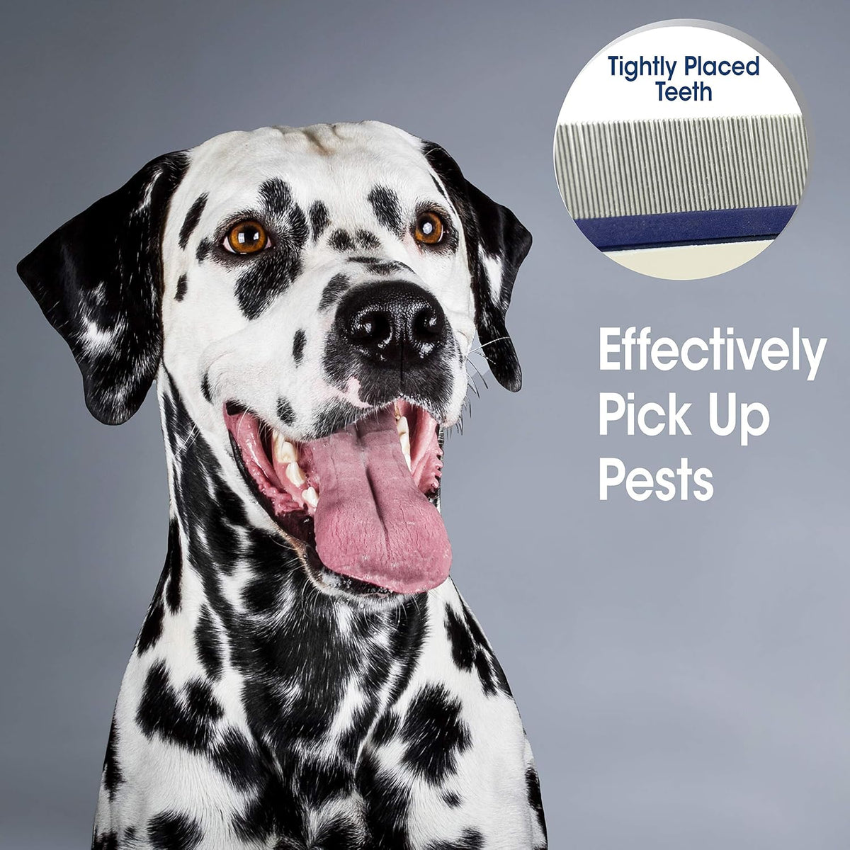 Four Paws Magic Coat Professional Series Contoured Palm Flea Comb for Dogs