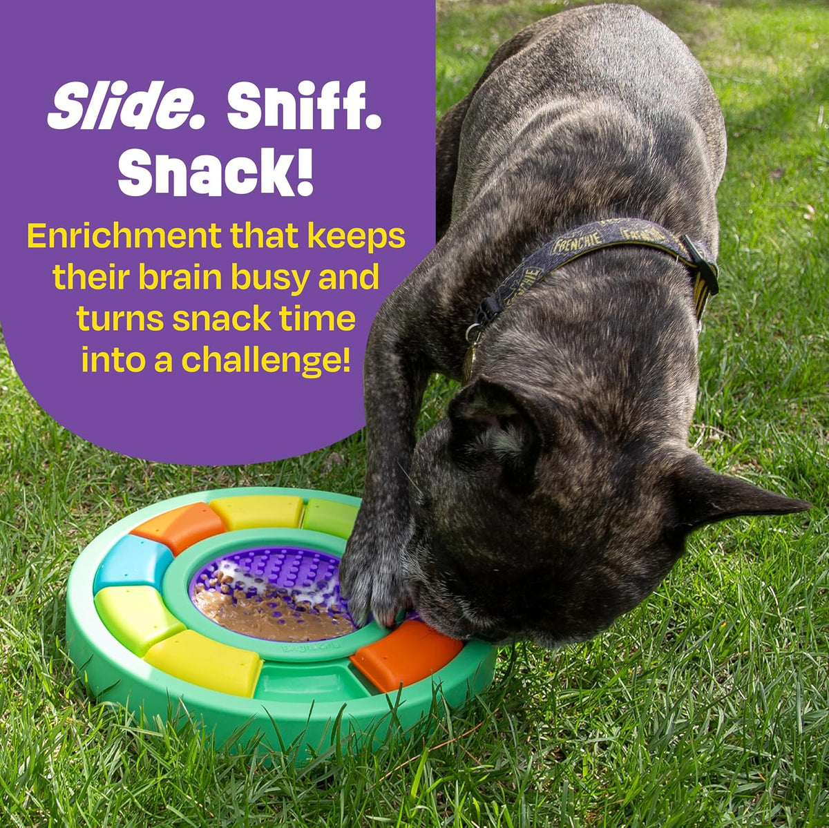 Brightkins Color Wheel Treat Puzzle and Lick Mat