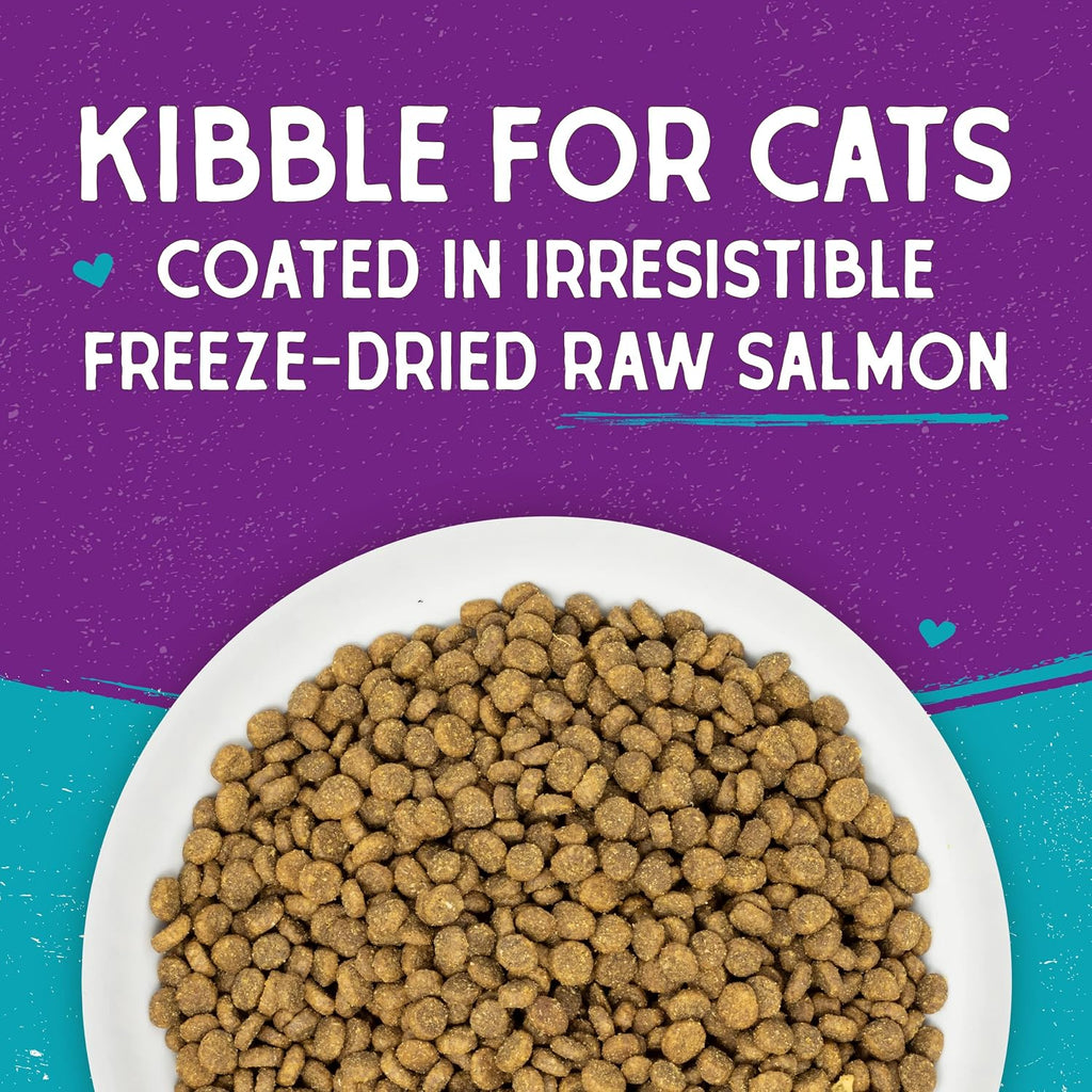 Stella & Chewy's Raw Coated Cat Food - High Protein, Grain-Free Kibble with Wild-Caught Salmon - Premium Digestive Support with Probiotics - Natural Small Kibble - Perfect For Picky Eaters - 5 lb Bag