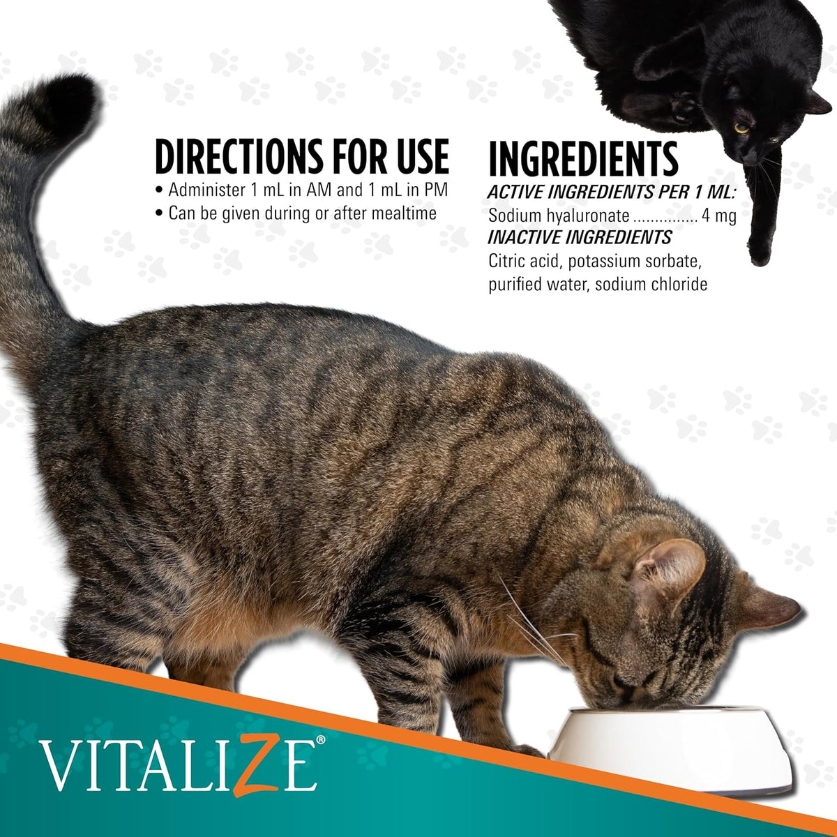 Vitalize® TRIXSYN® Feline- 2 Fl Oz (Pack of 2)