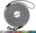 WYuZe 1/5" Reflective Extra Small Dog Leash 10ft Lightweight Rope Cat Leash