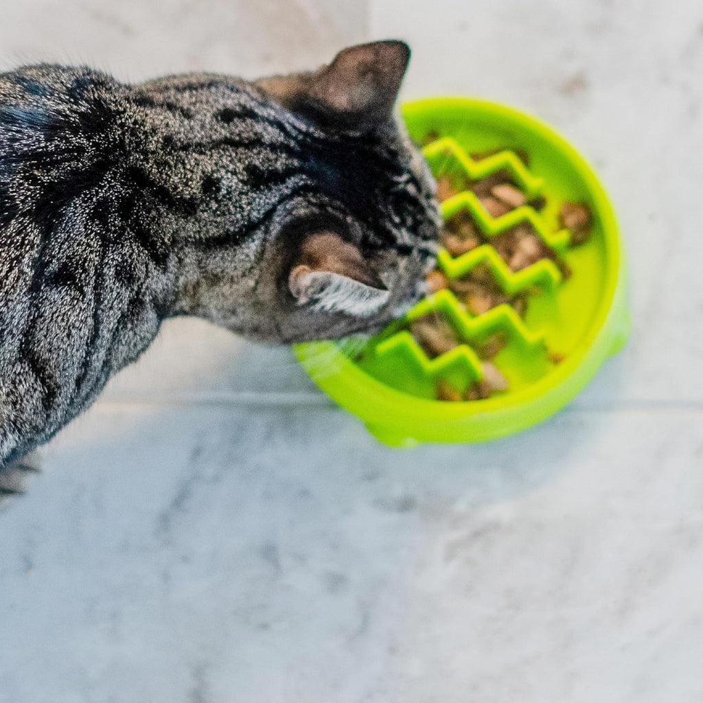 Catstages Kitty Slow Feeder Bowl for Cats & Kittens, 3/4 Cup, Green, 5"