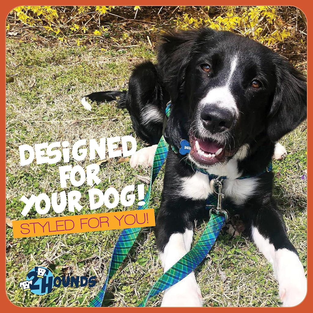 2 Hounds Design - Freedom No-Pull Harness & Training Leash in Green and Blue | Dual Leash Loops, No Pulling on Walks | Lined to Prevent Chaffing | for Large Sized Dogs (Size L, Chest 28”- 32”)