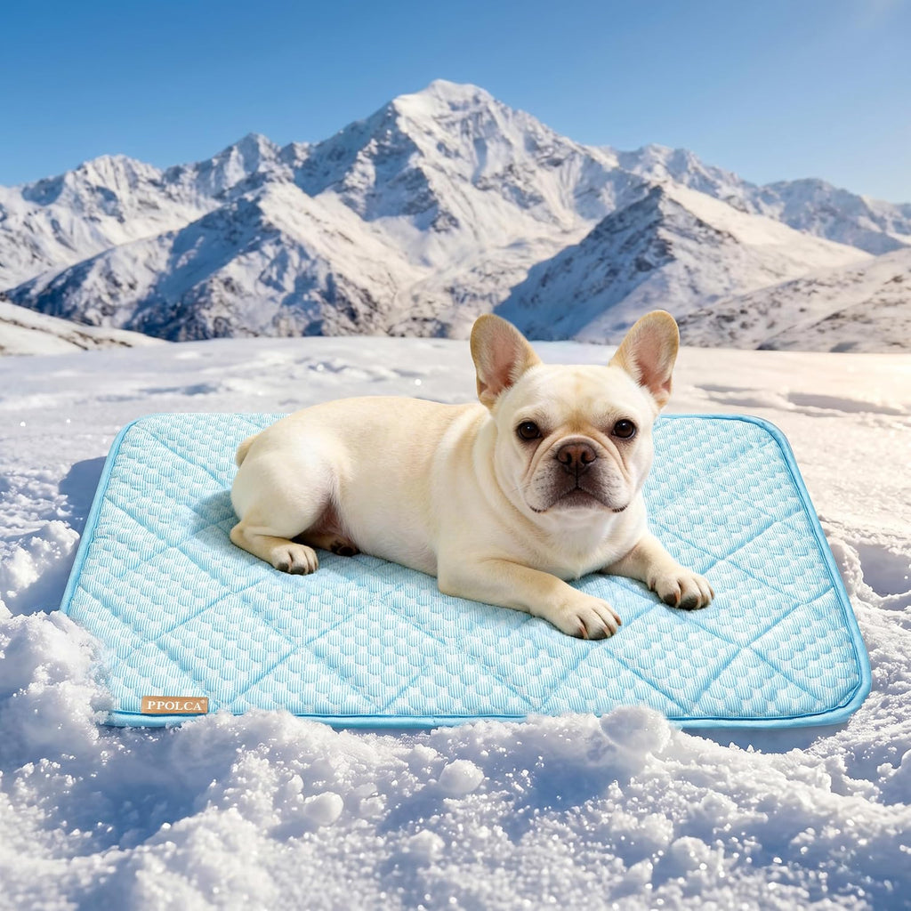 PPOLCA Waterproof Cooling Mat for Medium Dogs 21x29, Light Blue