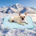 PPOLCA Waterproof Cooling Mat for Medium Dogs 21x29, Light Blue