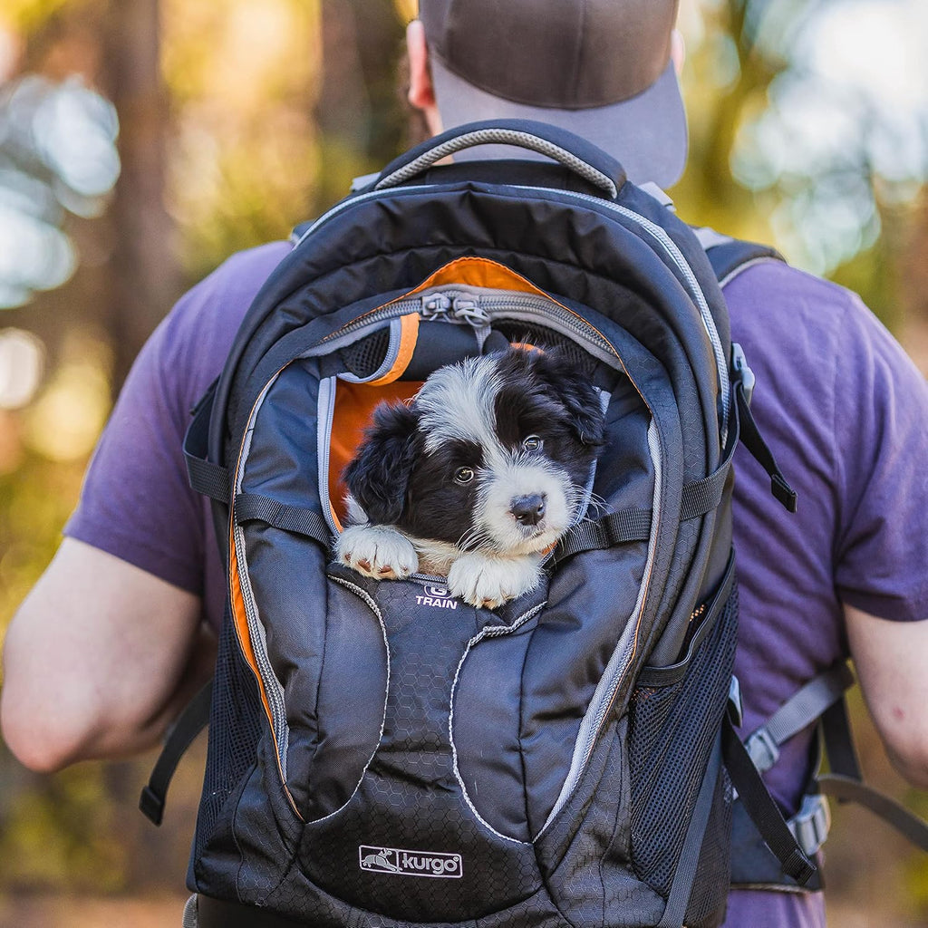 Kurgo G-Train Pet Carrier Backpack, Navy Blue