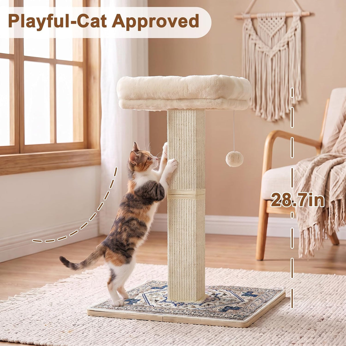 Cat Scratching Post with Bed for Indoor Adult Cats, Cat Perch,White