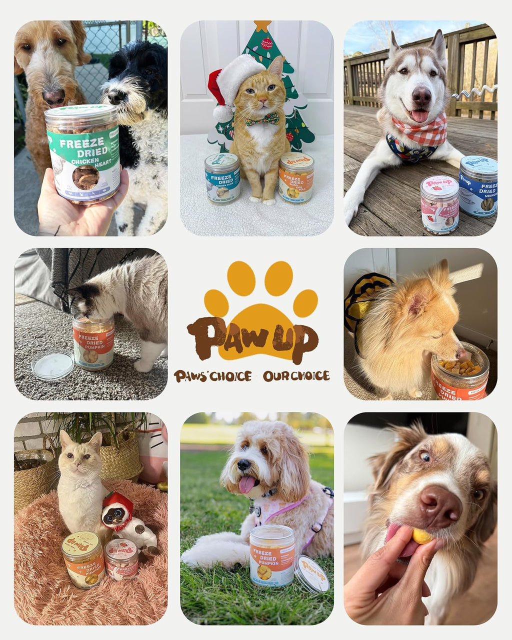 PAWUP Freeze Dried Pumpkin Treats for Dogs & Cats, Single Ingredient