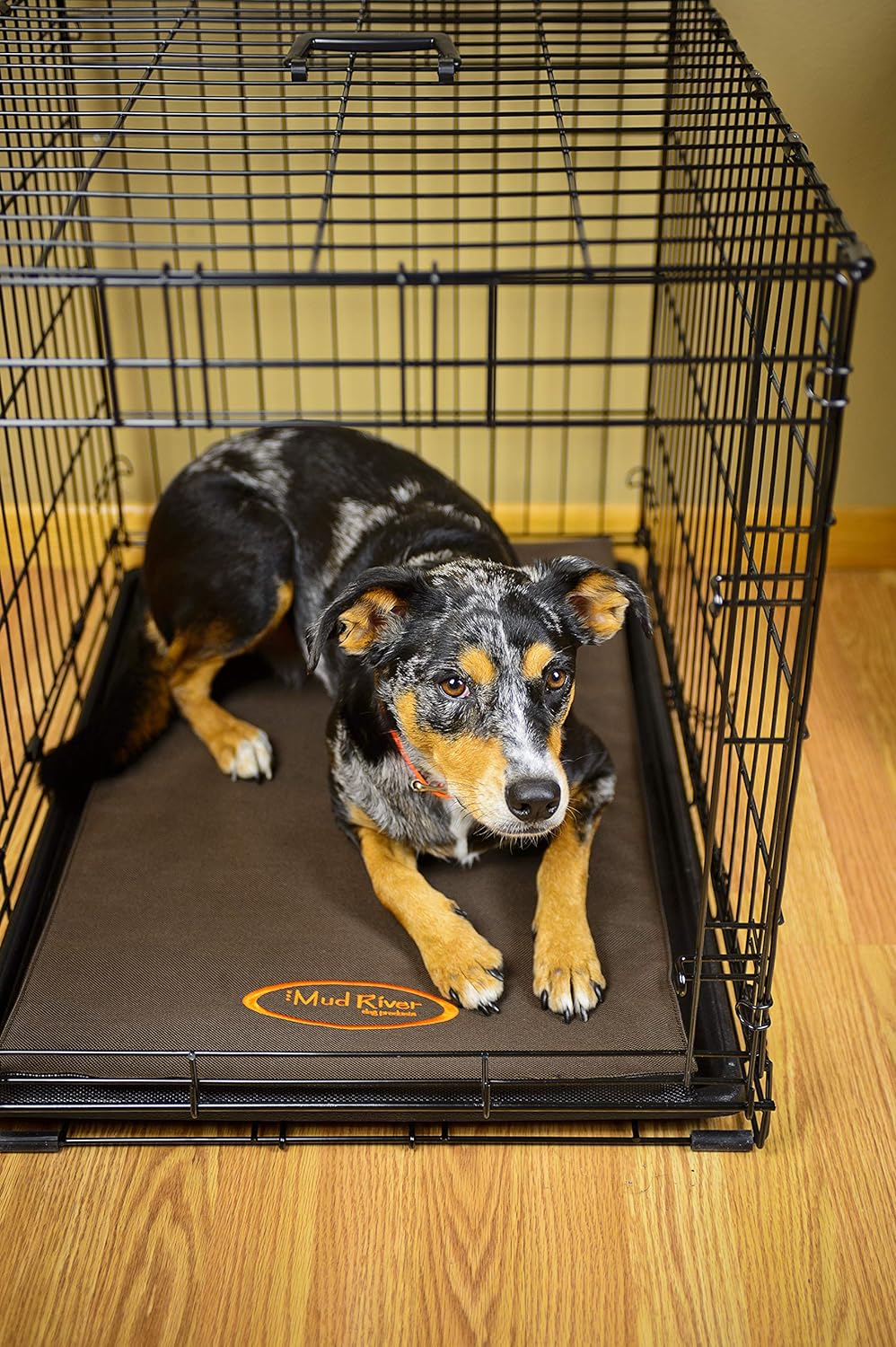 Mud River Crate Cushion