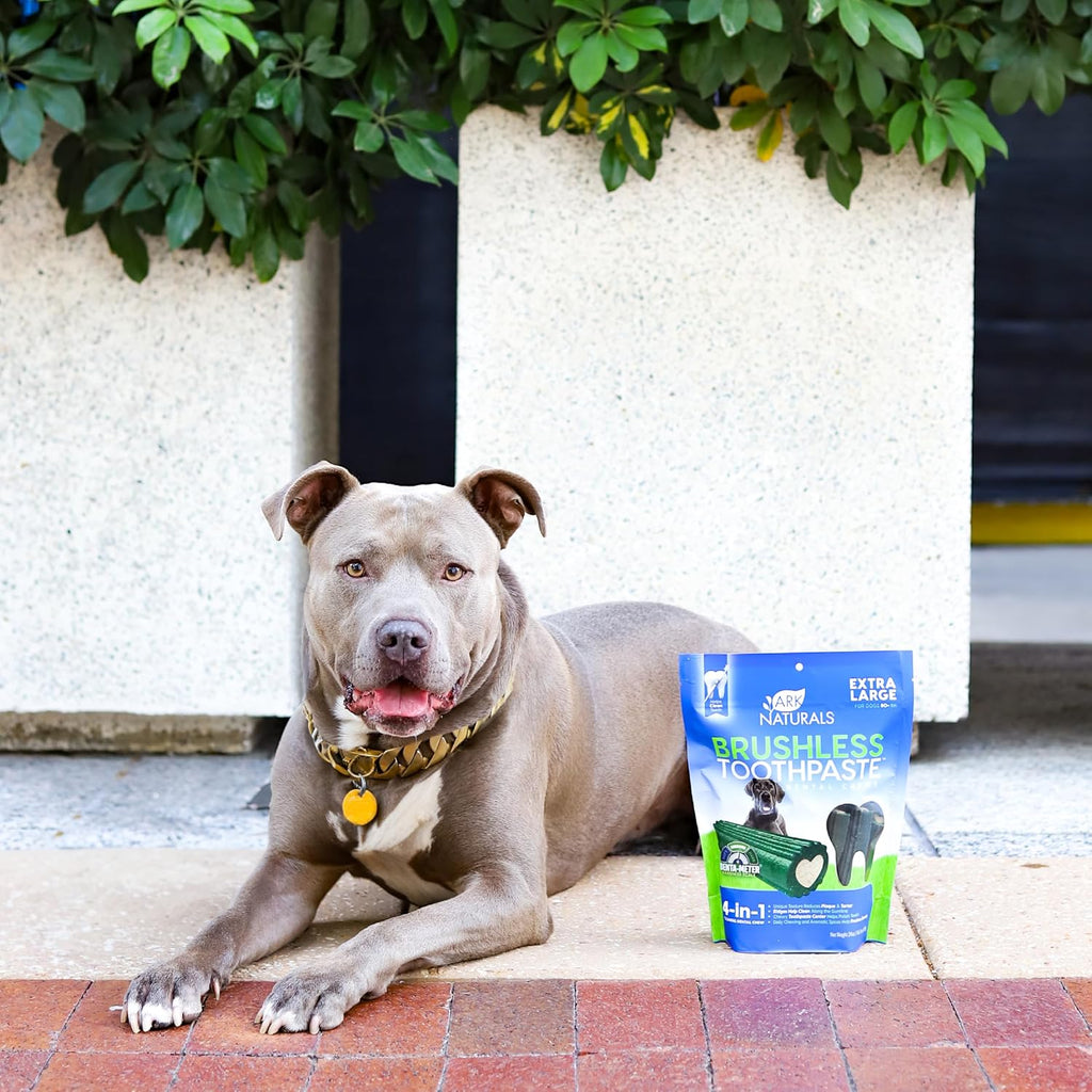 Ark Naturals Brushless Toothpaste Dog Dental Treats - XL Breeds (12 ct), 24 Ounce (Pack of 6)