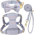 Beirui Cute Small Dog Harness and Leash Set Bowtie, Blue,XS,Chest 13-28"