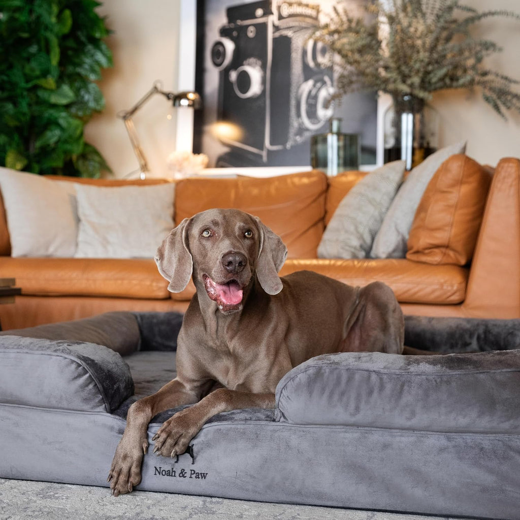 NOAH & PAW Large Dog Bed, Orthopedic Memory Cooling Foam (2X Base) 45x35x11