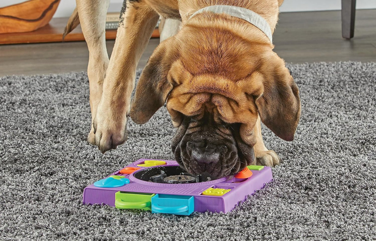 Learning Resources Brightkins DJ Doggo Puzzle Feeder
